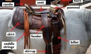 Horse Saddle Accessories